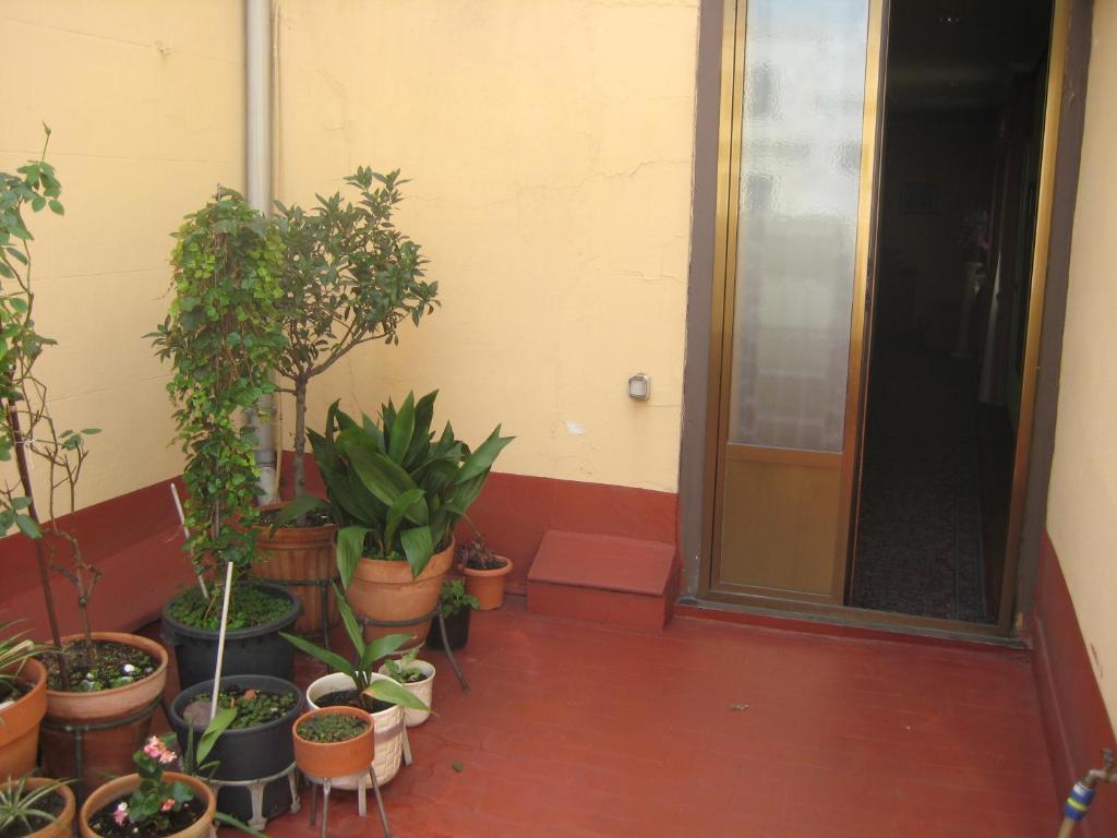 Guest house La Selecta